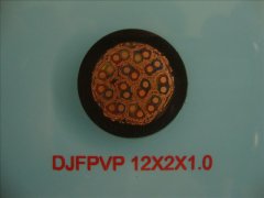 DJFPVP 12*2*1.0 計算機屏蔽耐高溫電纜