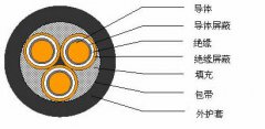 3*2.5，3*3，3*4，3*6，3*10，3*16，3*25屏蔽電纜結構圖